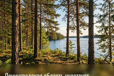 📢 Ленинградская область участвует в Russian Traveler Awards 2026!