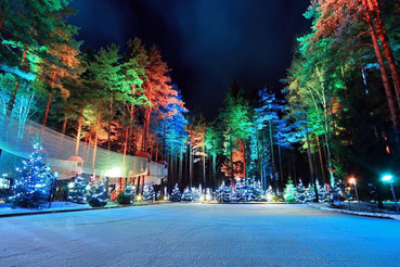 Новогодние события в Ленинградсокй области